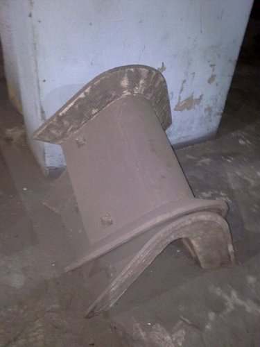 Язык улитки
